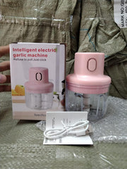 KolorFish Electric Mini Garlic Chopper 250ml Electric Vegetable Chopper - Shoporaa
