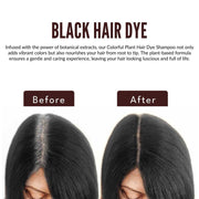 Revitalize Your Hair with Colorful Plant Hair Dye 100ml Comb Shampoo (Pack of 2) - Shoporaa