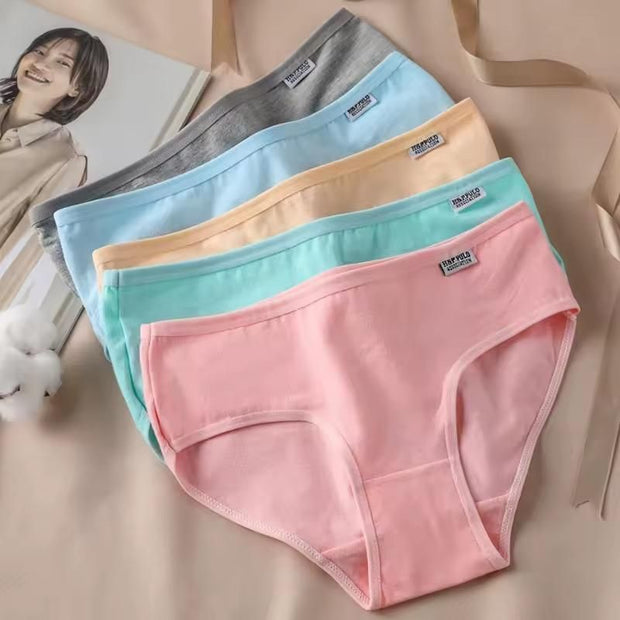 Women's Cotton Comfortable Underwear Pack of 4 - Shoporaa