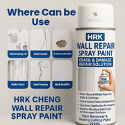 Wall Repair Spray Paint 500ML - Shoporaa