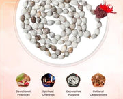 Original Vaijayanti Mala With Rudraksha Moira Stone - Shoporaa