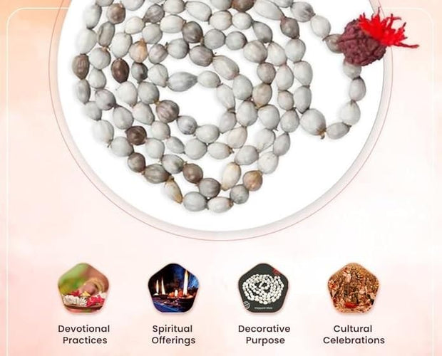 Original Vaijayanti Mala With Rudraksha Moira Stone - Shoporaa
